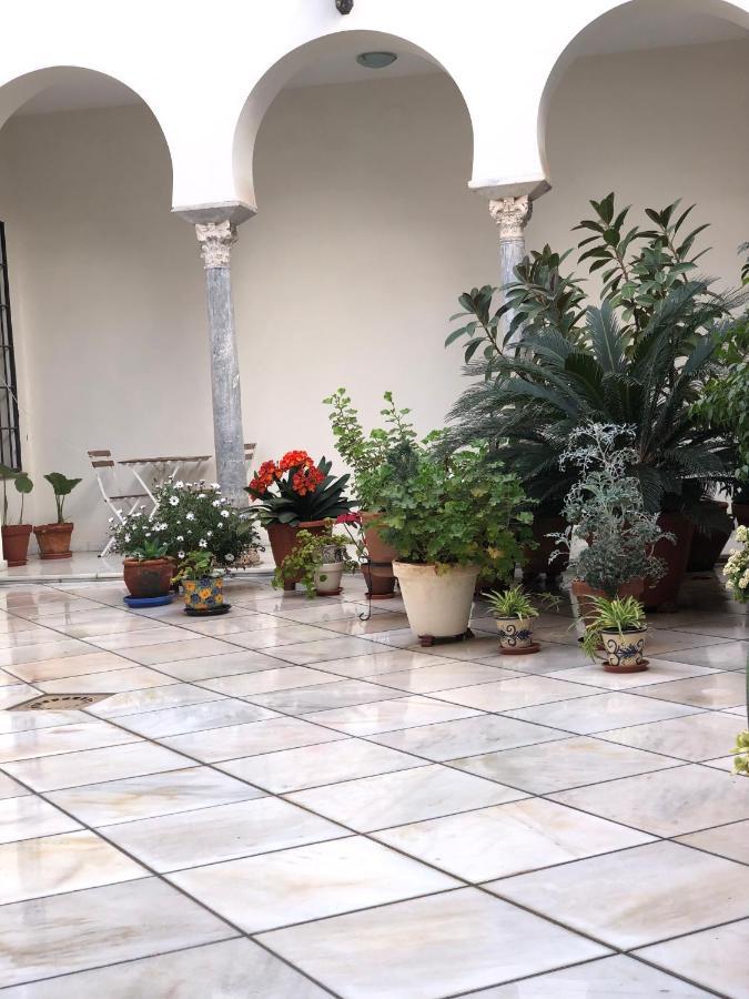 شقة Penthouse In The Historic District قرطبة المظهر الخارجي الصورة